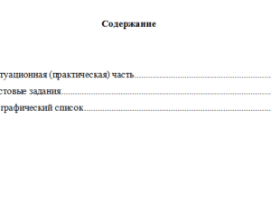 Аудит финансовых организаций. Вариант 10. НГУЭУ.