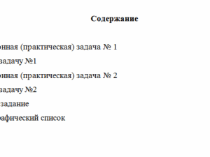 Внутренний аудит. Вариант 2. НГУЭУ.