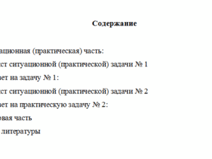 Корпоративные финансы. Вариант 10. НГУЭУ.