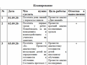 Отчет (дневник) по педагогической практике «Первые дни ребенка в школе». НГПУ