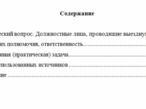 Правовое обеспечение налоговых проверок. Вариант 6. НГУЭУ.