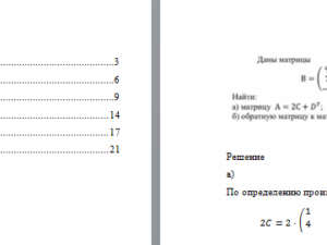 Математика. Вариант 6. НГУЭУ.