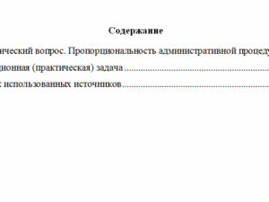 Административный процесс. Вариант 4. НГУЭУ.