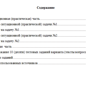 Внутренний аудит. Вариант 10. НГУЭУ.