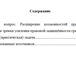 Обеспечение прав человека в деятельности правоохранительных органов. Вариант 10. НГУЭУ.