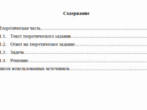 Аудит эффективности деятельности. Вариант 10. НГУЭУ.