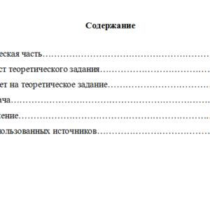 Аудит эффективности деятельности. Вариант 10. НГУЭУ.
