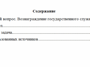 Государственная служба в правоохранительных органах. Вариант 10. НГУЭУ.