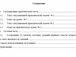 Налоговый аудит. Вариант 10. НГУЭУ.