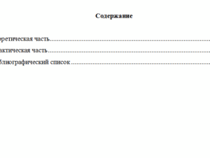 Спичрайтинг. Вариант 3. НГУЭУ.