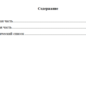 Спичрайтинг. Вариант 3. НГУЭУ.