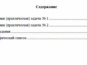 Анализ в организациях различных видов деятельности. Вариант 10. НГУЭУ.