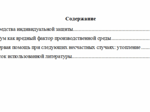 Безопасность жизнедеятельности. Вариант 6. НГУЭУ.