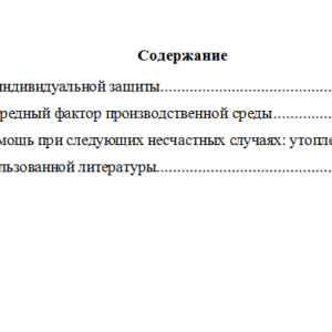Безопасность жизнедеятельности. Вариант 6. НГУЭУ.