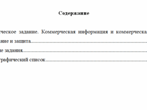 Безопасность предпринимательской деятельности. Вариант 5. НГУЭУ.