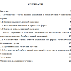 Теневая экономика и экономическая безопасность страны
