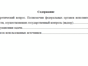 Административная деятельность федеральных органов власти. Вариант 9. НГУЭУ.