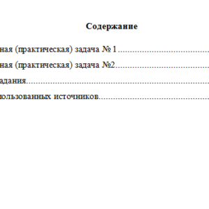 Организация и методика проведения налоговых проверок. Вариант 4. НГУЭУ.