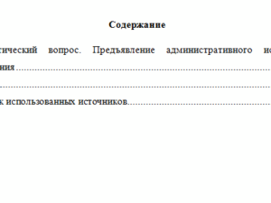 Административное судопроизводство. Вариант 2. НГУЭУ.