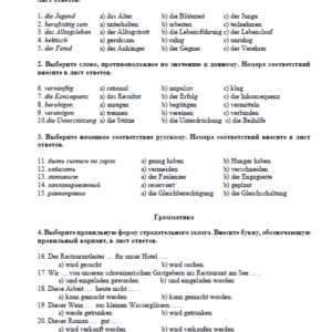 Немецкий язык. Контрольная работа 3. Вариант 2. НГУЭУ.