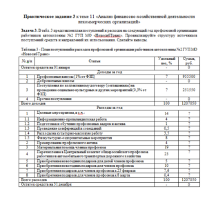 Экономика бюджетной сферы и некоммерческих организаций. Задание 3. СибУПК.
