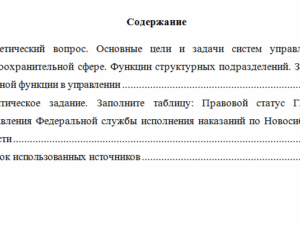Основы управления в правоохранительных органах. Вариант 2. НГУЭУ.
