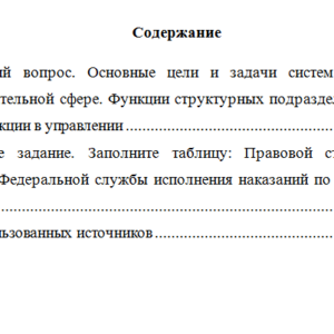 Основы управления в правоохранительных органах. Вариант 2. НГУЭУ.