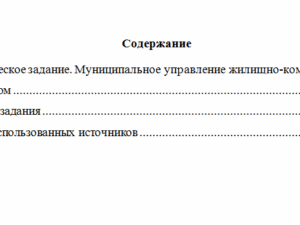 Основы государственного и муниципального управления. Вариант 5. НГУЭУ.