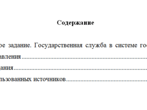 Основы государственного и муниципального управления. Вариант 3. НГУЭУ.