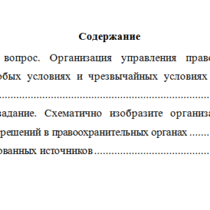 Основы управления в правоохранительных органах. Вариант 10. НГУЭУ.