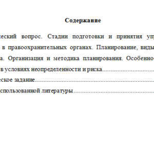 Основы управления в правоохранительных органах. Вариант 9. НГУЭУ.