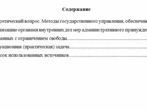Административное принуждение в деятельности органов внутренних дел. Вариант 4. НГУЭУ.