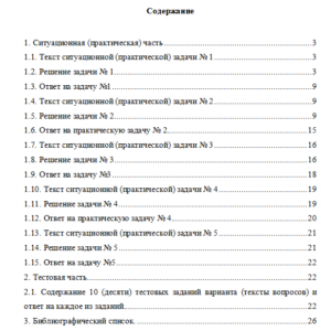 Математическое моделирование социально-экономических процессов. Вариант 2. НГУЭУ.
