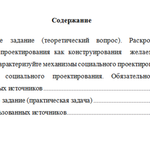 Общественный проект "Обучение служением". Вариант 7. НГУЭУ.