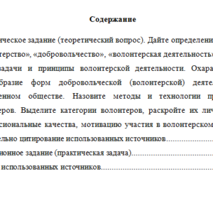 Общественный проект "Обучение служением". Вариант 9. НГУЭУ.