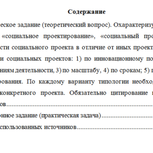 Общественный проект "Обучение служением". Вариант 2. НГУЭУ.