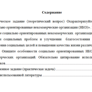 Общественный проект "Обучение служением". Вариант 4. НГУЭУ.