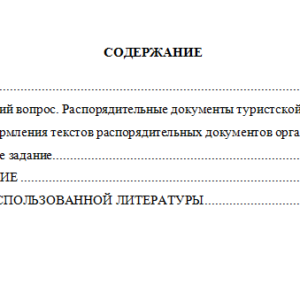 Документационное обеспечение управления в туризме. Вариант 2. НГУЭУ.