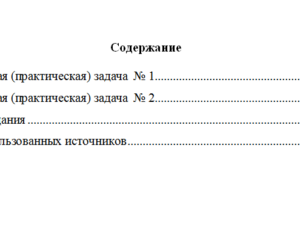 Аудит. Вариант 2. НГУЭУ.