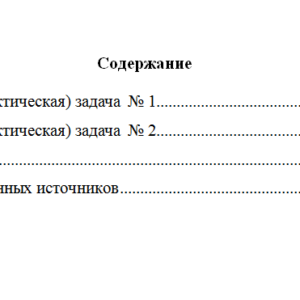 Аудит. Вариант 2. НГУЭУ.