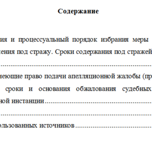 Уголовный процесс. Вариант 10. СибУПК.