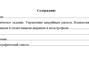 Техногенные системы и экологический риск. Вариант 10. НГУЭУ.