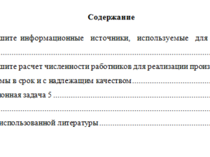Технико-экономический анализ ресурсов организации. Вариант 5. НГУЭУ.