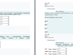Иностранный язык в сфере юриспруденции. Ответы к тестам по темам. СибУПК.