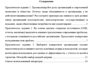 Основы деятельности современной организации. Вариант 1. НГУЭУ.
