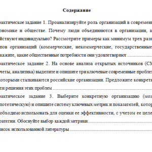 Основы деятельности современной организации. Вариант 1. НГУЭУ.