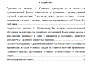 Основы деятельности современной организации. Вариант 2. НГУЭУ.