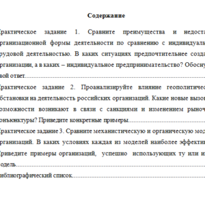 Основы деятельности современной организации. Вариант 2. НГУЭУ.