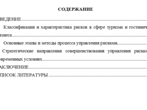 Управление рисками в сфере туризма и гостиничного бизнеса. Реферат.