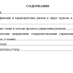 Управление рисками в сфере туризма и гостиничного бизнеса. Реферат.